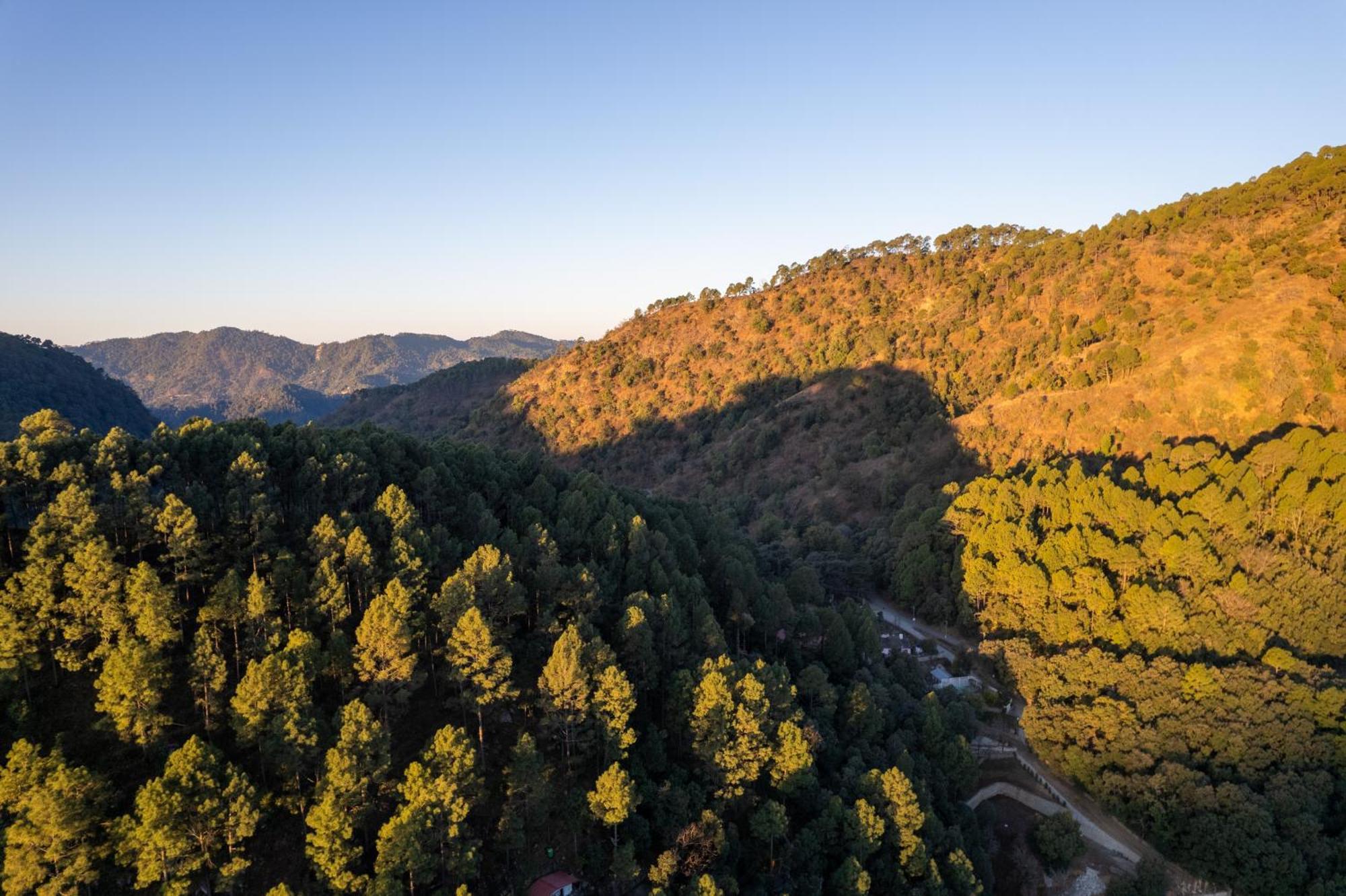 The Canadian Woods Resort Nainital Bagian luar foto